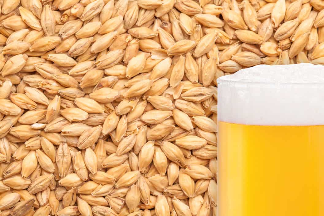 BEST Pilsen malt
