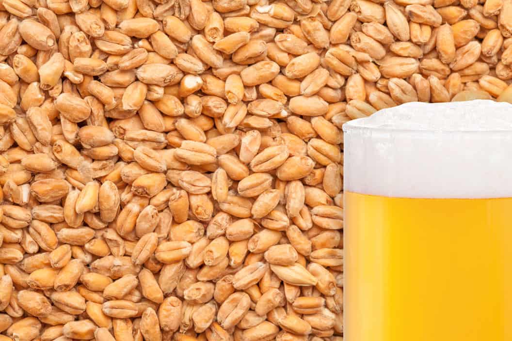 BEST Wheat malt